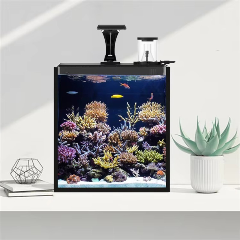 Akuarium Ikan Air Asin Mini da - Marine Aquarium Cube ulasan dan harga