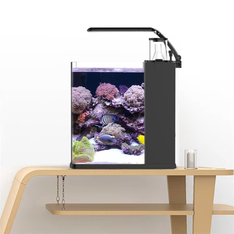 Akuarium Ikan Air Asin Mini da - Marine Aquarium Cube ulasan dan harga