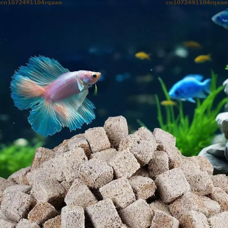 Cacing Darah Beku Kering Alami - Marine Aquarium Cube ulasan dan harga