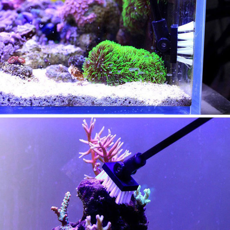Sikat pembersih pancing tangki - Marine Aquarium Glass Cleaner ulasan dan harga