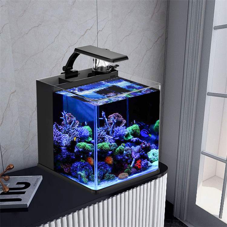 Skynuo Ultra Clear Glass Mini  - Marine Aquarium Cube ulasan dan harga
