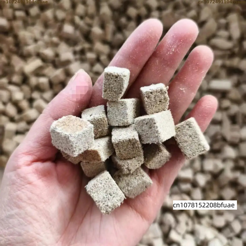 Pakan Ikan Akuarium Isi Ulang, - Marine Aquarium Cube ulasan dan harga