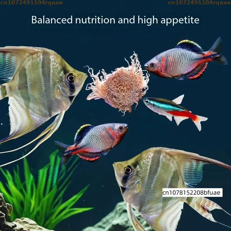 Pakan Ikan Akuarium Isi Ulang, - Marine Aquarium Cube ulasan dan harga
