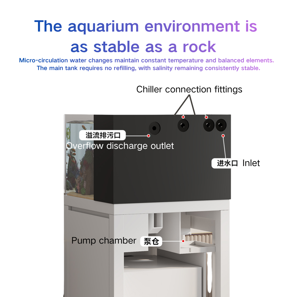 Akuarium Kaca Kubus 60cm Smart - Marine Aquarium Cube ulasan dan harga