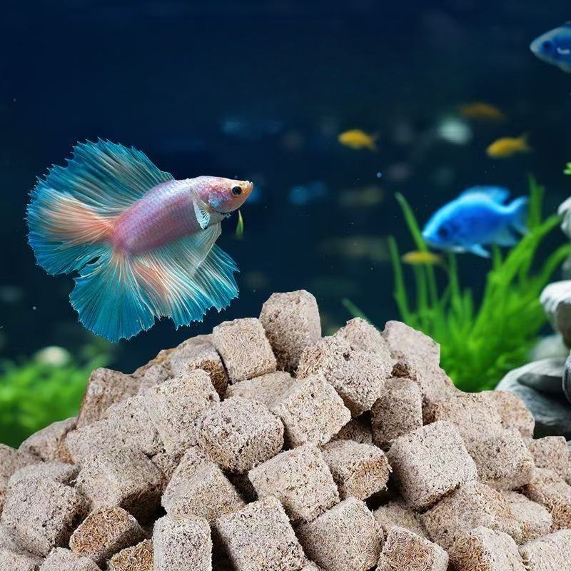 Cacing Darah Beku Kering Alami - Marine Aquarium Cube ulasan dan harga