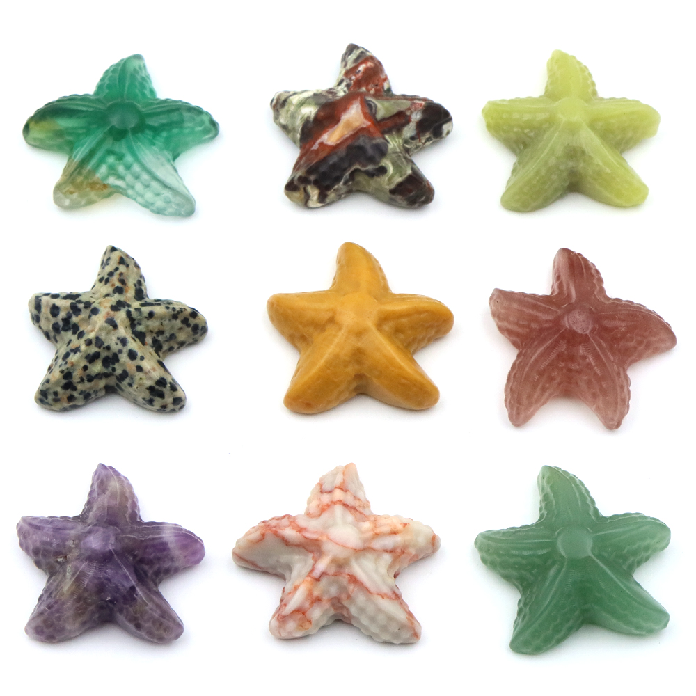 Patung Bentuk Bintang Laut 35M - Marine Aquarium & Regional Centre ulasan dan harga