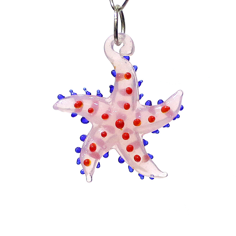 Lucu hewan laut bintang laut p - Marine Aquarium & Regional Centre ulasan dan harga