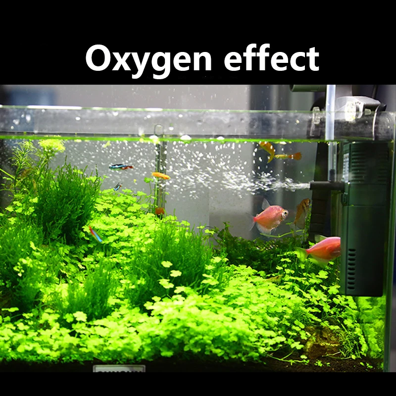 SUNSUN mini nano 111B 311B 611 - Marine Aquarium Uv Sterilizer ulasan dan harga