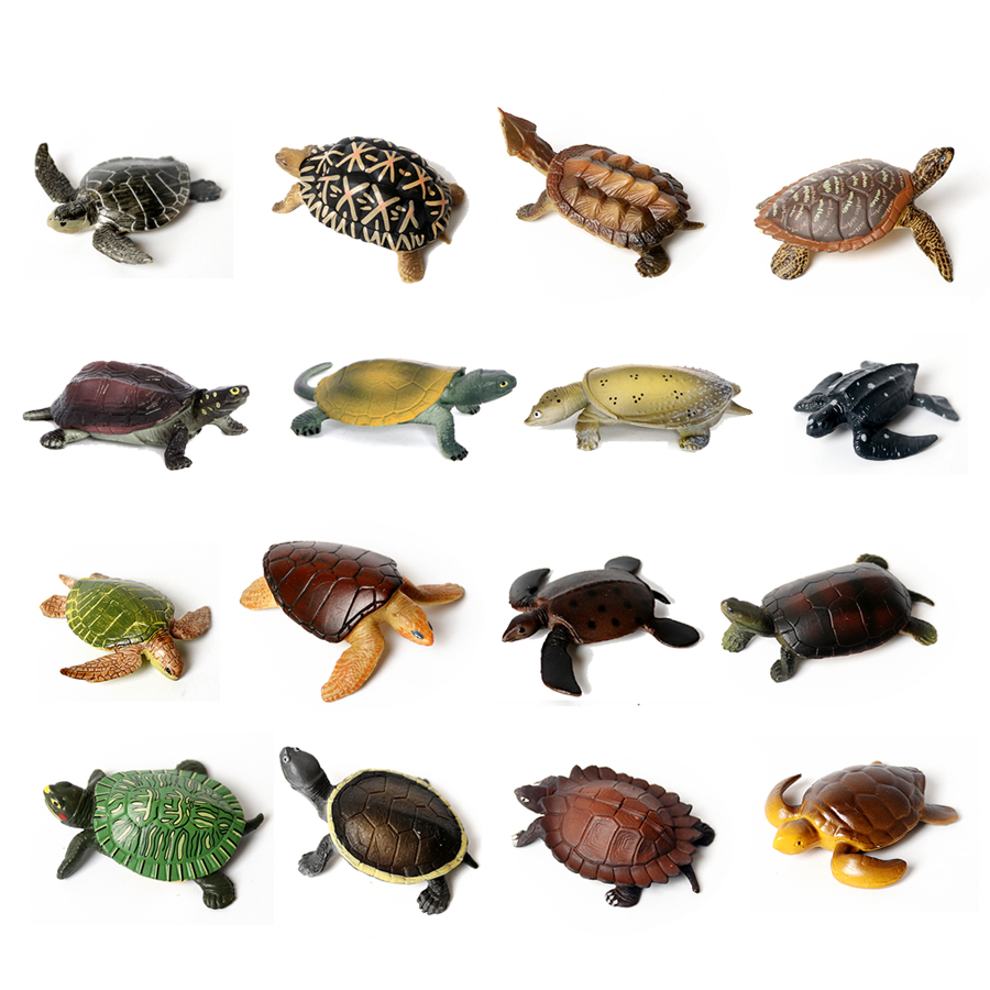 Miniatur realistis kehidupan l - Marine Aquarium & Regional Centre ulasan dan harga
